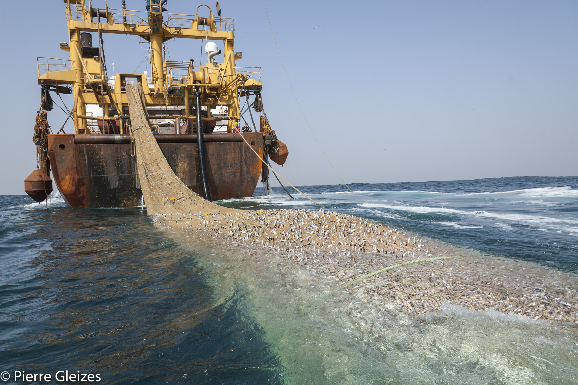 Pêche Durable